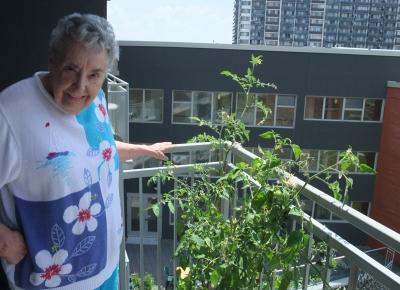 balcony gardener