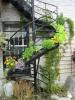 Garden Stairs 05