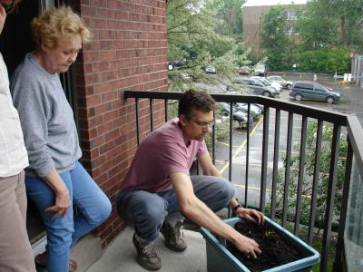 Préparation des bacs sur un balcon/ Preparation of a grower on a balcony