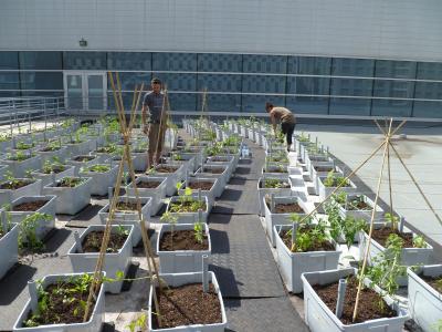 un jardin prend vie