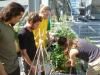 Atelier sur la façon de ceuillir les fruits