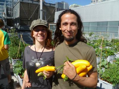 Les premiers légumes de crudescence