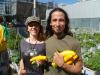 Les premiers légumes de crudescence