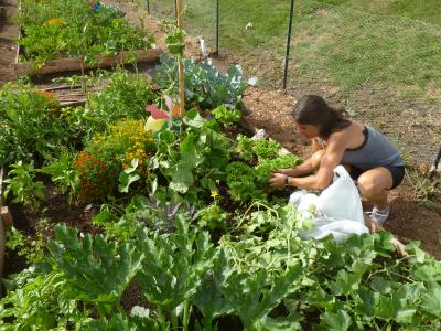 Les jardinières d'Aldo en action