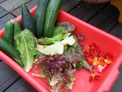 Une recolte du jardin 2006 | A garden harvest, 2006