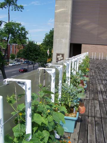 jardin 2006 | Garden, 2006