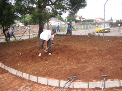 La plate-bande / The flowerbed