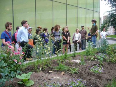 Présentation du jardin médicinal